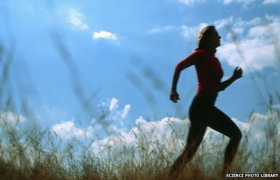 Breast cancer survivors 'do not exercise enough'