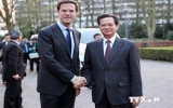 Dutch PM’s visit to Vietnam to enhance bilateral ties