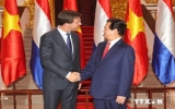 Vietnam, Netherlands set up strategic partnership on agriculture