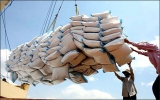 Việt Nam giành hợp đồng xuất khẩu 200.000 tấn gạo sang Malaysia