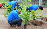 Thị đoàn Bến Cát: Xuất quân trồng hơn 750 cây xanh