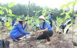 Đoàn khối Doanh nghiệp: Trồng 1.000 cây xanh hưởng ứng “Tết trồng cây đời đời nhớ ơn Bác Hồ”