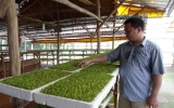 To facilitate sustainable development of urban agriculture