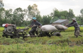 Doanh nghiệp “vét” gạo phục vụ xuất khẩu, nông dân vui
