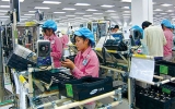 Viet Nam strives to attract sound FDIViet Nam strives to attract sound FDI