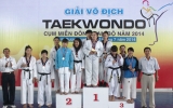 Kết thúc giải vô địch Taekwondo cụm miền Đông Nam bộ năm 2014