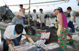Tổ quốc bên bờ sóng : Quyết bám biển để bảo vệ chủ quyền