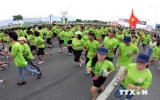 Danang to host Int’l Marathon Competition 2014