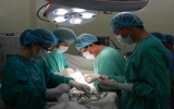 Bệnh viện Đa khoa Vạn Phúc phẫu thuật cột sống và thay đĩa đệm nhân tạo