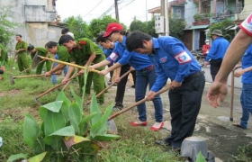 Hiệu quả từ những mô hình