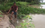 Nạn khai thác cát trái phép trên sông Sài Gòn: Ruộng vườn kêu cứu!