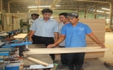 Hơn 1.400 lao  động được đào tạo nghề chế biến gỗ