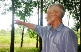 Những “bông hoa” trong lòng địch: Chiến công lạ thường