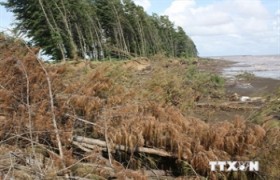 增强越南槟知省和茶荣省应对气候变化的能力