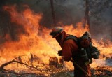 Mỹ: Hỏa hoạn hoành hành dữ dội, thiêu rụi hơn 360km2 rừng