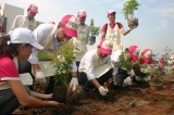 AEON Bình Dương Canary tổ chức chương trình “Cánh rừng quê hương”