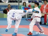 ASIAD 17: Karatedo mang về thêm một huy chương cho đoàn Việt Nam