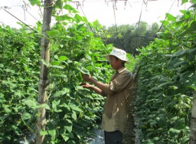 Hiệu quả từ mô hình kinh tế kết hợp