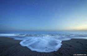 Different depths reveal ocean warming trends