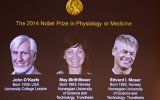 Vinh danh giải Nobel Y học 2014