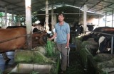 Xã Lai Hưng,:  Tích cực xây dựng nông thôn mới