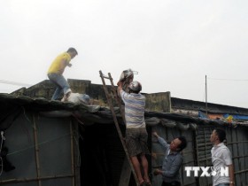 Khẩn trương xây dựng phương án ứng phó với bão mạnh, siêu bão