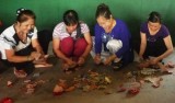 Chi hội Phụ nữ ấp 1A, xã Phước Hòa, Phú Giáo:  Đẩy mạnh hoạt động giúp nhau phát triển kinh tế gia đình