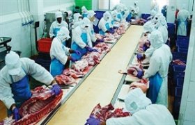 Thai, Singaporean firms cooperate in safe food production