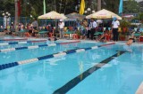 Gần 300 vận động viên tranh tài Giải Bơi lội thiếu niên - nhi đồng thị xã Dĩ An 2014