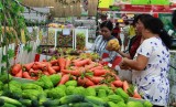 Hệ thống siêu thị Big C tích cực hỗ trợ tiêu thụ 150 tấn cà chua cho bà con nông dân Đà Lạt