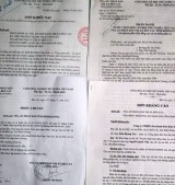 Khiếu nại của Công ty Kim Kim Sơn:  Hồ sơ kháng cáo quá hạn đã được chuyển cho Tòa án tỉnh