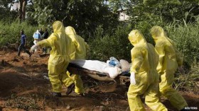 Ebola intensifies the struggle to cope with Lassa fever