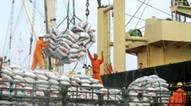 Prospects for the African-Middle Eastern markets