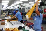 Kinh tế Bình Dương sau 8 năm Việt Nam gia nhập WTO: Cải thiện đầu tư, gia tăng xuất khẩu