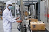 Kinh tế Bình Dương sau 8 năm Việt Nam gia nhập WTO: Doanh nghiệp trong nước vươn lên mạnh mẽ