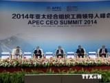 Chủ tịch nước phát biểu tại Hội nghị thượng đỉnh doanh nghiệp APEC