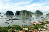 Ha Long Bay enters world’s 20 geological wonders