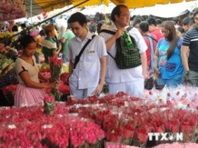Philippines sees slight rise in 7-month tourist arrivals