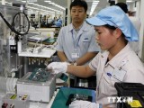 Việt Nam và Brazil lập kỷ lục mới trong trao đổi thương mại