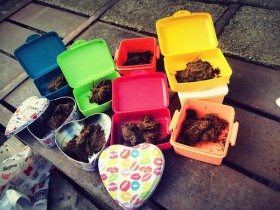 Công ty cung cấp dịch vụ gửi phân ngựa tới kẻ thù cho khách hàng