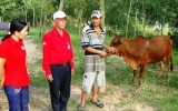 Dự án “Ngân hàng bò”:  Giúp hội viên phát triển kinh tế gia đình