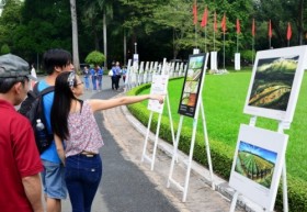 4000多个参赛作品云集2014年第三届越南遗产摄影大赛