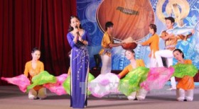 2014年九龙江三角洲地区音乐联欢会拉开帷幕