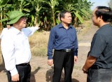 Lãnh đạo tỉnh làm việc tại Khu nông nghiệp ứng dụng công nghệ cao An Thái