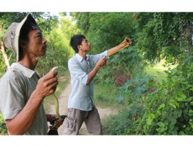 “Xạ thủ” săn rắn