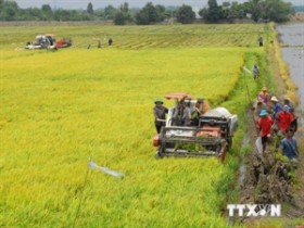 世行协助九龙江地区应对气候变化