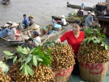 Top 5 attractive floating markets in Vietnam