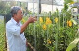 Hội Nông dân huyện Phú Giáo: Điểm sáng trong phong trào Nông dân sản xuất, kinh doanh giỏi