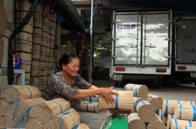 Hội Liên hiệp phụ nữ phường An Bình, TX. Dĩ an:  Giúp nhau làm kinh tế
