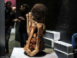 Peru: Xác ướp phụ nữ 1.000 năm tuổi trong tư thế ngồi co